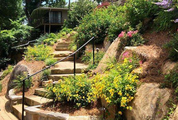 Eco-friendly lawn alternatives for low-maintenance and sustainable yards