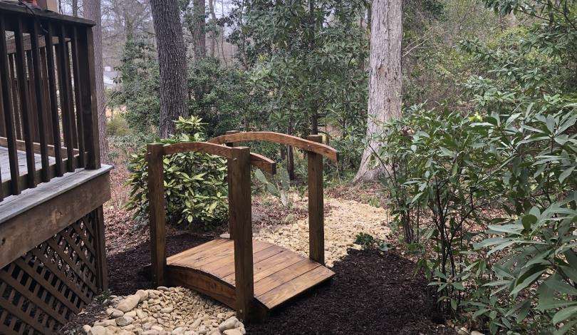 Eco-friendly lawn alternative with clover and wildflowers designed by Front Yard Forest, Lexington, SC