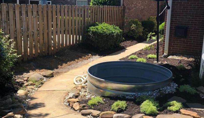 Rain garden designed for water conservation by Front Yard Forest, featuring lush greenery and efficient drainage systems in Lexington, SC